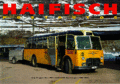 Haifisch - Buch-Cover