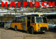 Haifisch - Buch-Cover
